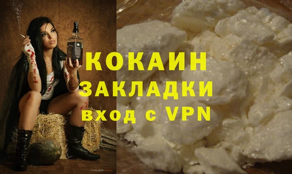 твердый Карпинск