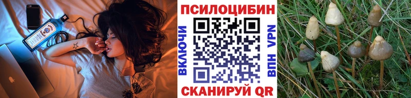 Псилоцибиновые грибы Cubensis  Купить  Задонск 