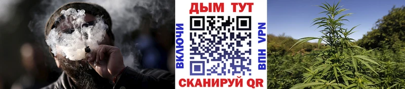 Купить  Задонск  Шишки марихуана семена 